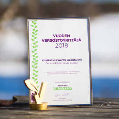 Uusi palkinto nuorille yrittäjille